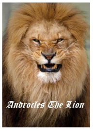 Title: Best Sellers Androcles and the Lion ( adventure, fantasy, romantic, action, fiction, humorous, historical, romantic, thriller, crime, journey, battle, war, science fiction, amazing, Greeks, Trogan war, romance ), Author: George Benard Shaw