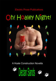 Title: Oh! Hoaley Night! (Novella 1) (Gay Romantic Suspense and Mystery), Author: Declan Sands