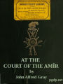 At the Court of the Amîr (Illustrated)