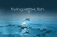 Title: Amazing Flying Fish ( cloud, color, nature, environment, river, fish, landscape ), Author: 99 Cent eBooks