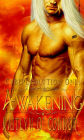 Awakening, The; Cyberevolution I