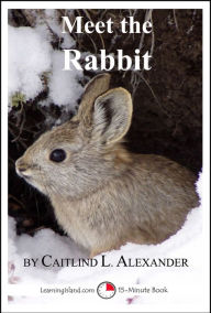 Title: Meet the Rabbit: A 15-Minute Book for Early Readers, Author: Caitlind Alexander