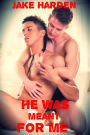 He Was Meant for Me (Gay Paranormal Werewolf Romance)