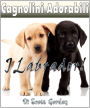 Cagnolini Adorabili: I Labrador