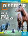 Discover - annual subscription