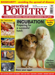 Title: Practical Poultry, Author: KELSEY