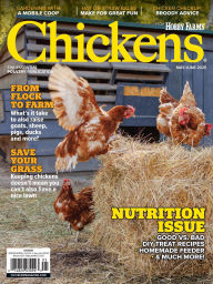 Title: Chickens, Author: EG Media