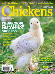 Title: Chickens, Author: EG Media