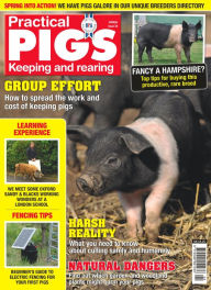 Title: Practical Pigs, Author: Yves Grafmeyer