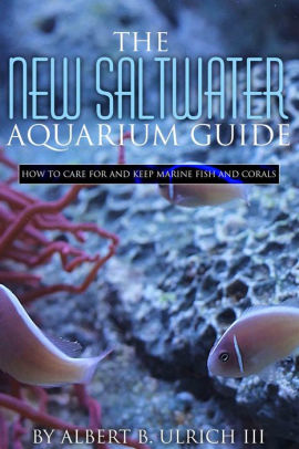 the new saltwater aquarium