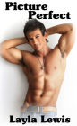 Picture Perfect (a virgin unexpected foursome and a2m erotica)