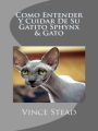 Como Entender Y Cuidar De Su Gatito Sphynx & Gato