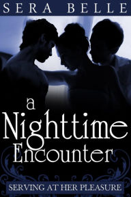 Title: A Nighttime Encounter (MMMF Downton Abbey-themed Erotica), Author: Sera Belle