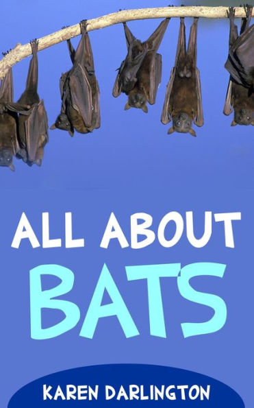 All About Bats (All About Everything, #13)