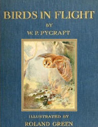 Title: Birds in Flight (Illustrated), Author: W.P. Pycraft