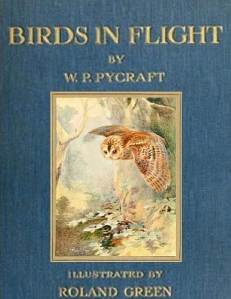 Birds in Flight (Illustrated)