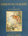 Birds in Flight (Illustrated)