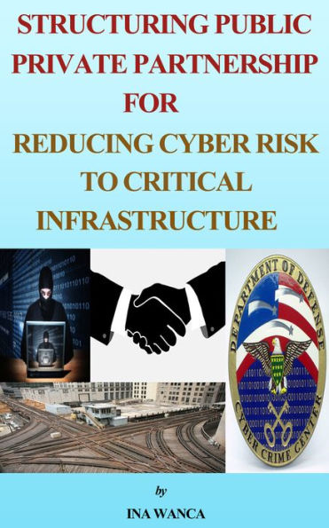 Structuring Public Private Partnership for Reducing Cyber Risk to Critical Infrastructure