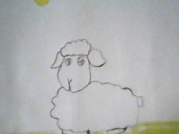 Where Is My Little Sheep