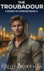 The Troubadour: A Christian Romantic Suspense