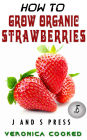 How To Grow Organic Strawberries