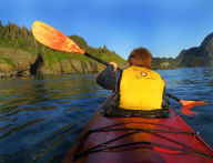 Title: Kenai Fjords, Author: Tyler Bolen