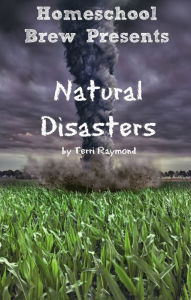 Title: Natural Disasters (Fourth Grade Social Science Lesson, Activities, Discussion Questions and Quizzes), Author: Terri Raymond