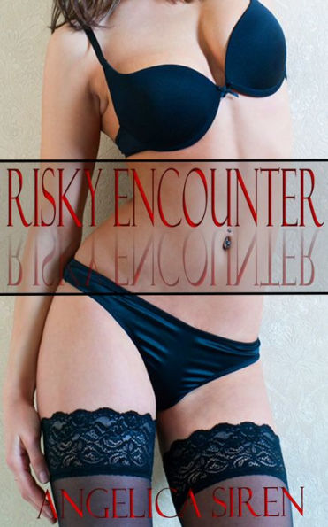 Risky Encounter (An Anonymous Stranger Erotica)