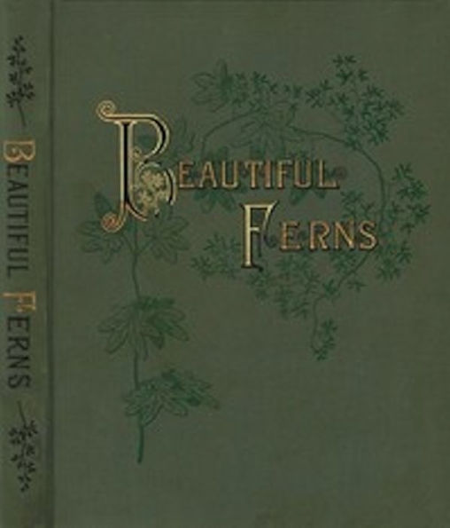 Beautiful Ferns (Illustrated)