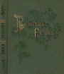 Beautiful Ferns (Illustrated)