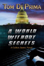 A World Without Secrets