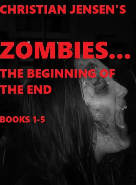 Zombies...The Beginning of the END Books 1-5