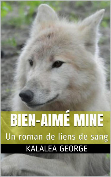 Bien-aime Mine