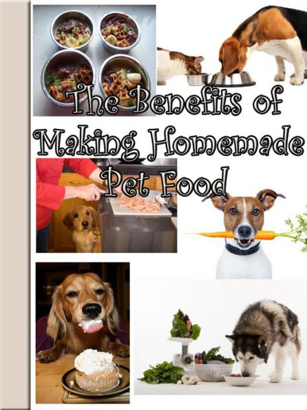The Benefits of Making Homemade Pet Food