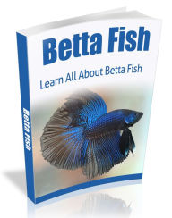 Title: Betta Fish, Author: Mike Morley
