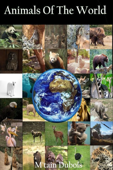 Animals Of The World