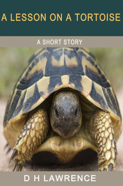 A Lesson on a Tortoise by D. H. Lawrence | NOOK Book (eBook) | Barnes ...