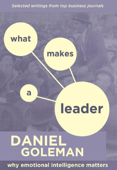 What Makes a Leader: Why Emotional Intelligence Matters