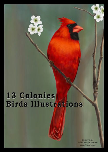 13_Colonies_Birds_Illustrations