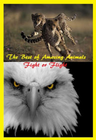 Title: Nature: Best of Amazing Animals Fight or Flight Great for Kids and Adults ( animal, nature, wildlife, animals, ecology, conservation, lion, tiger, bear, mammal, elephant, leopard, cheetah, Presented by Resounding Wind Publishing, Author: Childrens Fun Activity Ebooks