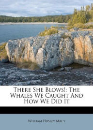 Title: There She Blows! Or The Log Of The Arethusa: A Fiction & Literature Classic By William Hussey Macy! AAA+++, Author: BDP