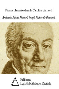 Title: Pierres observée dans la Caroline du nord, Author: Ambroise Marie François Joseph Palisot de Beauvois