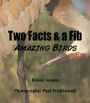 Two Facts and a Fib: Amazing Birds