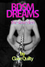 BDSM DREAMS - The Slave Den (BDSM bisexual bondage slave slut training hardcore erotica)