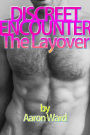 DISCREET ENCOUNTER - The Layover (first time gay online hookup hardcore erotica)
