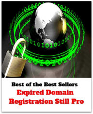 Title: Best of the Best Sellers Expired Domain Registration Still Pro ( realm, kingdom, empire, dominion, province, territory, land, domain name, public domain, domain name server, domain name registration ), Author: Resounding Wind Publishing