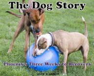 Title: The Dog Story: Phoenixs Three Weeks to Recovery, Author: David Lambert