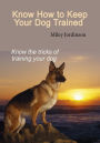 Know how to Keep your Dog Trained