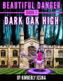 Beautiful Danger Book 1 Dark Oak High School