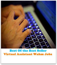 Title: Best of the Best Sellers Virtual Assistant Wahm Jobs	( fake, mesh, net, plexus, web, snare, internet, research, calculating machine, electronics, online, work at home mom, work at home, earn, computer ), Author: Resounding Wind Publishing